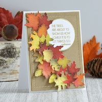 Spellbinders Clear Stamps Susan's Autumn Quotes STP-024