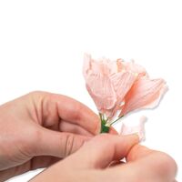 Sizzix Thinlits Die Set 7PK - Garden Rose by Jess Slack 666120