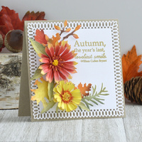 Spellbinders Clear Stamps Susan's Autumn Quotes STP-024