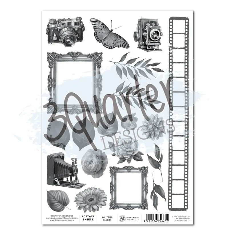 3Quarter Designs - Shutter Glam - Acetate