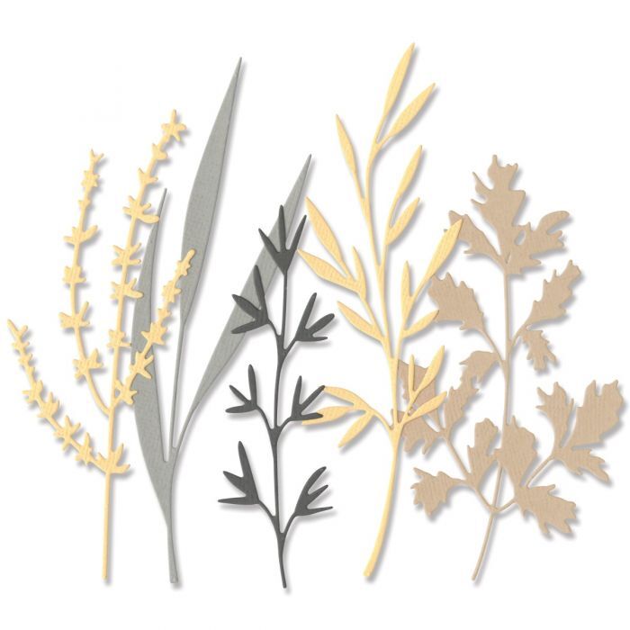 Sizzix Thinlits Dies 5PK Woodland Stems