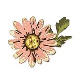 Sizzix Thinlits Die Set 7PK - Blossom by Tim Holtz 666283