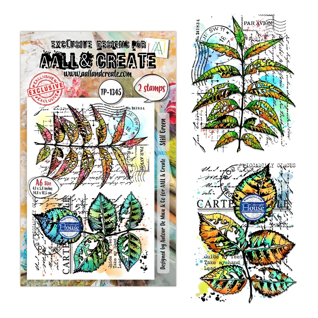 AALL & Create A6 Stamp Set - Still Green