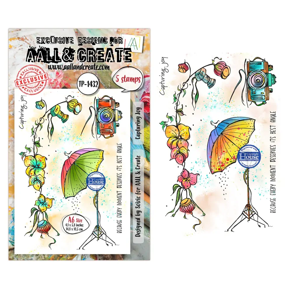 AALL & Create A6 Stamp Set - Capturing Joy