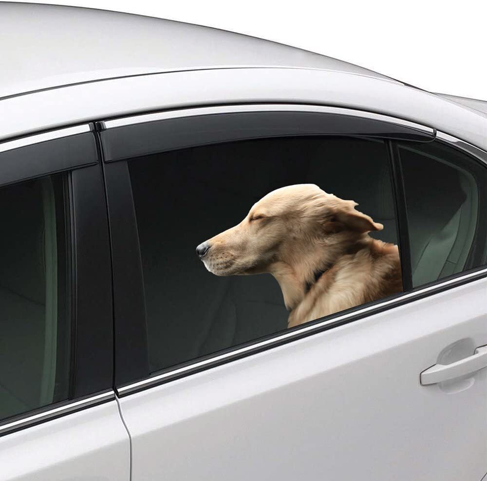 Joy Riders Car Window Cling Dog Golden Retriever