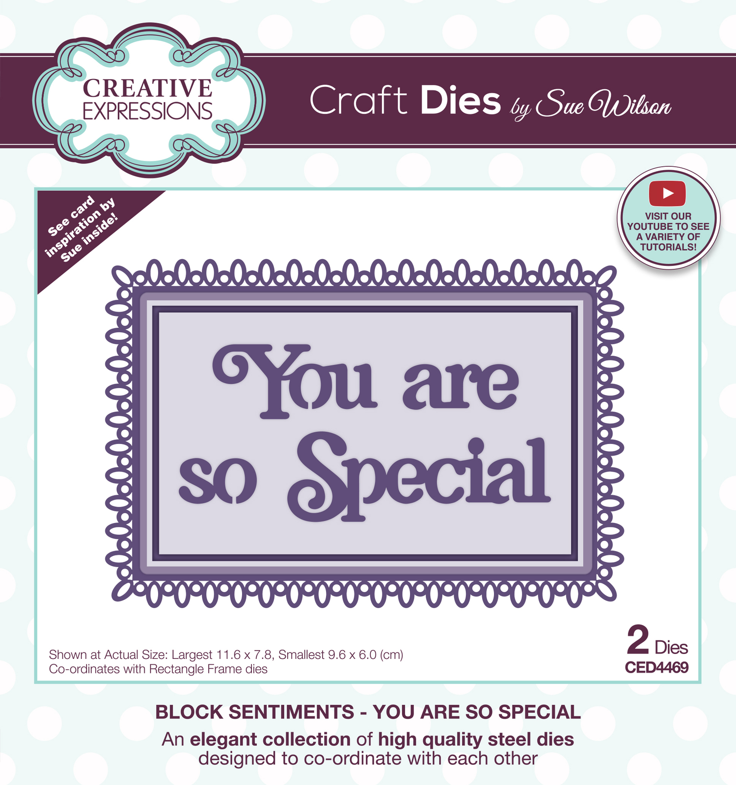 Creative Expressions Sue Wilson Block Sentiments You Are So Special Craft Die