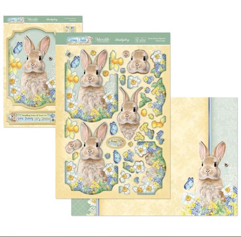 Hunkydory Crafts Spring Cheer Deco-Large Set - Some Bunny Special