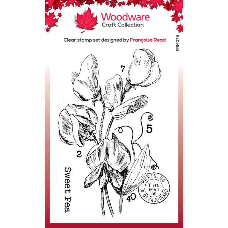Woodware Clear Singles 3” x 4” Stamp - Sweet Pea - FRM075