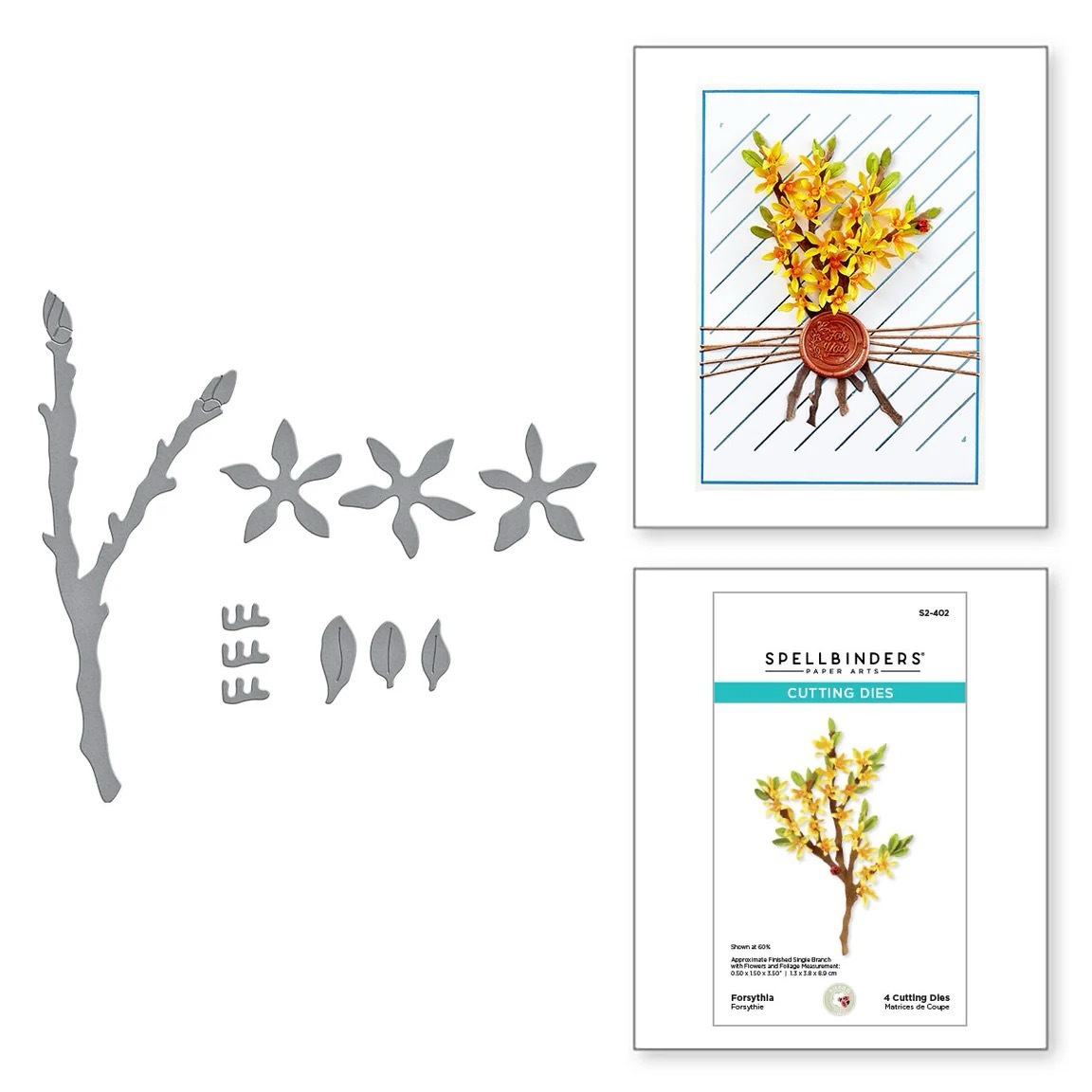 Spellbinders Die Forsythia Etched Dies S2-402