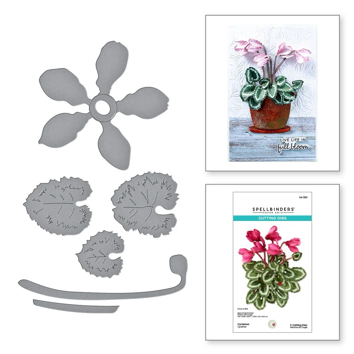 Spellbinders Die Cyclamen Etched Dies S4-1361