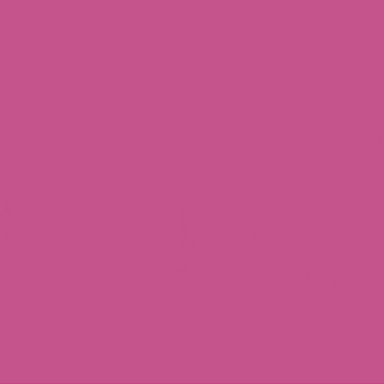 12 X 12 Wild Berry Cardstock