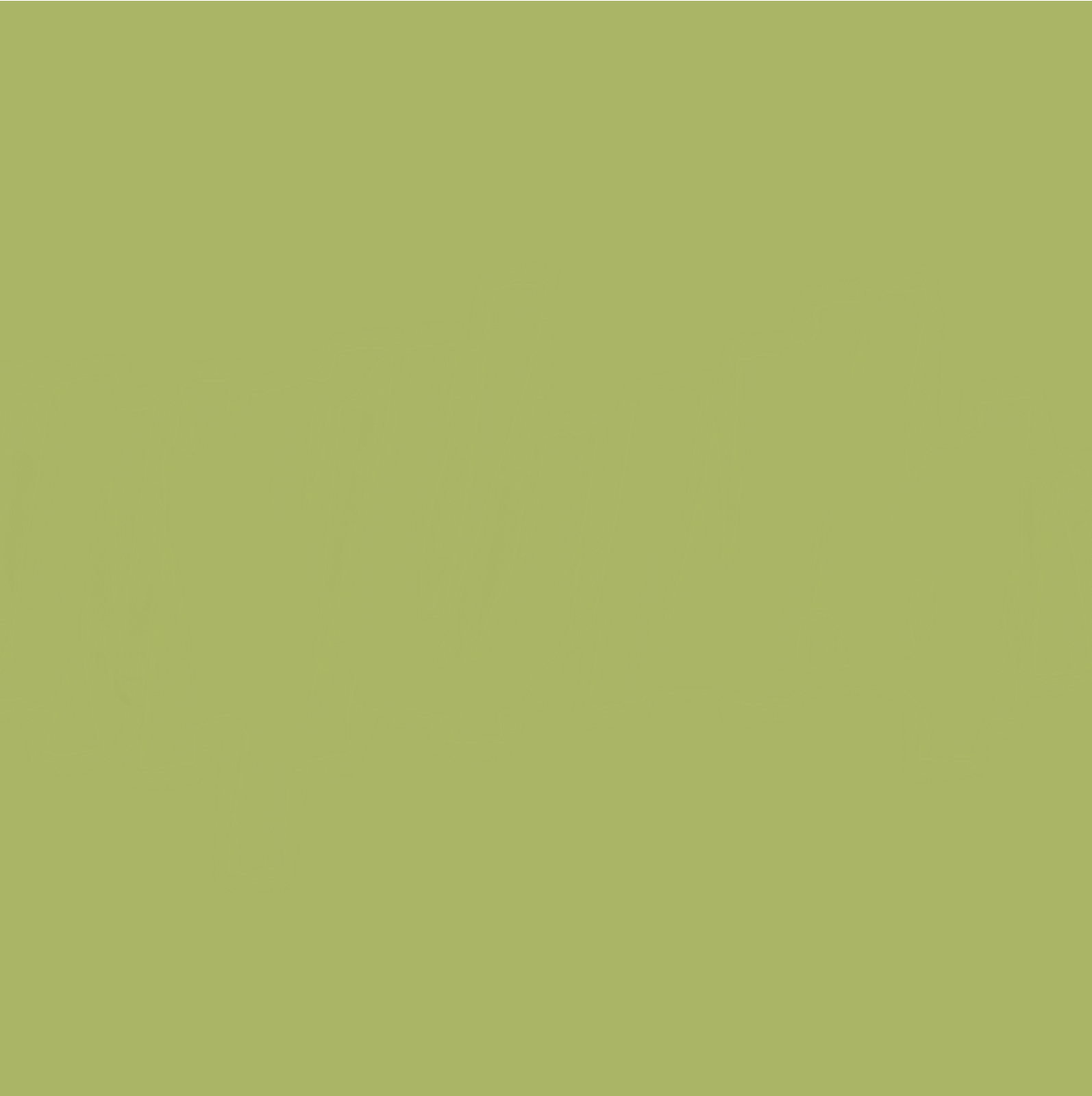 12 X 12 Eucalyptus Cardstock