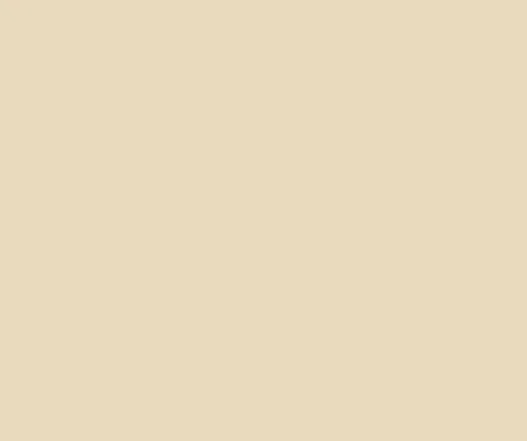 12 X 12 Vanilla Latte Cardstock