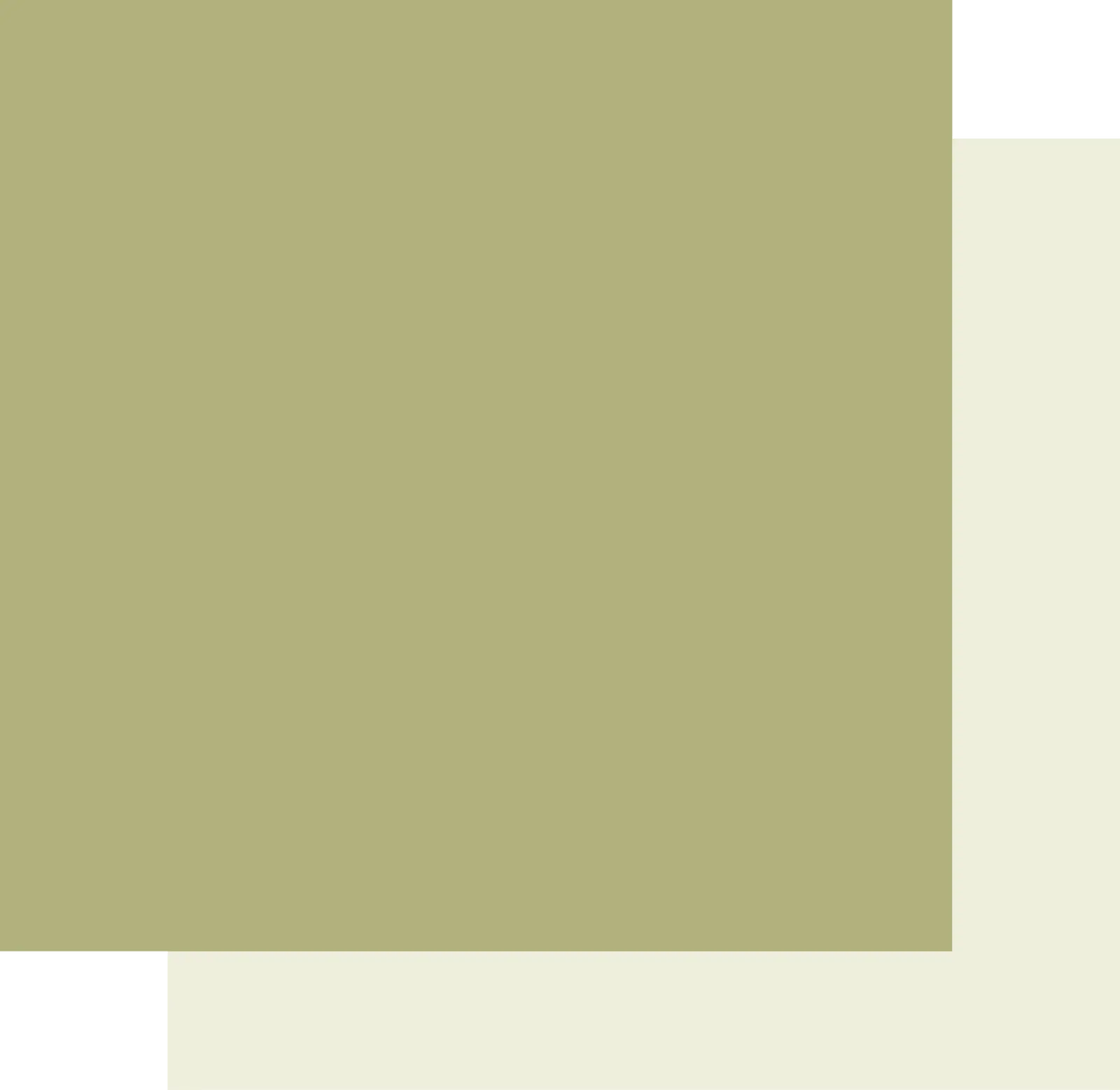 12 X 12 Sage Cardstock