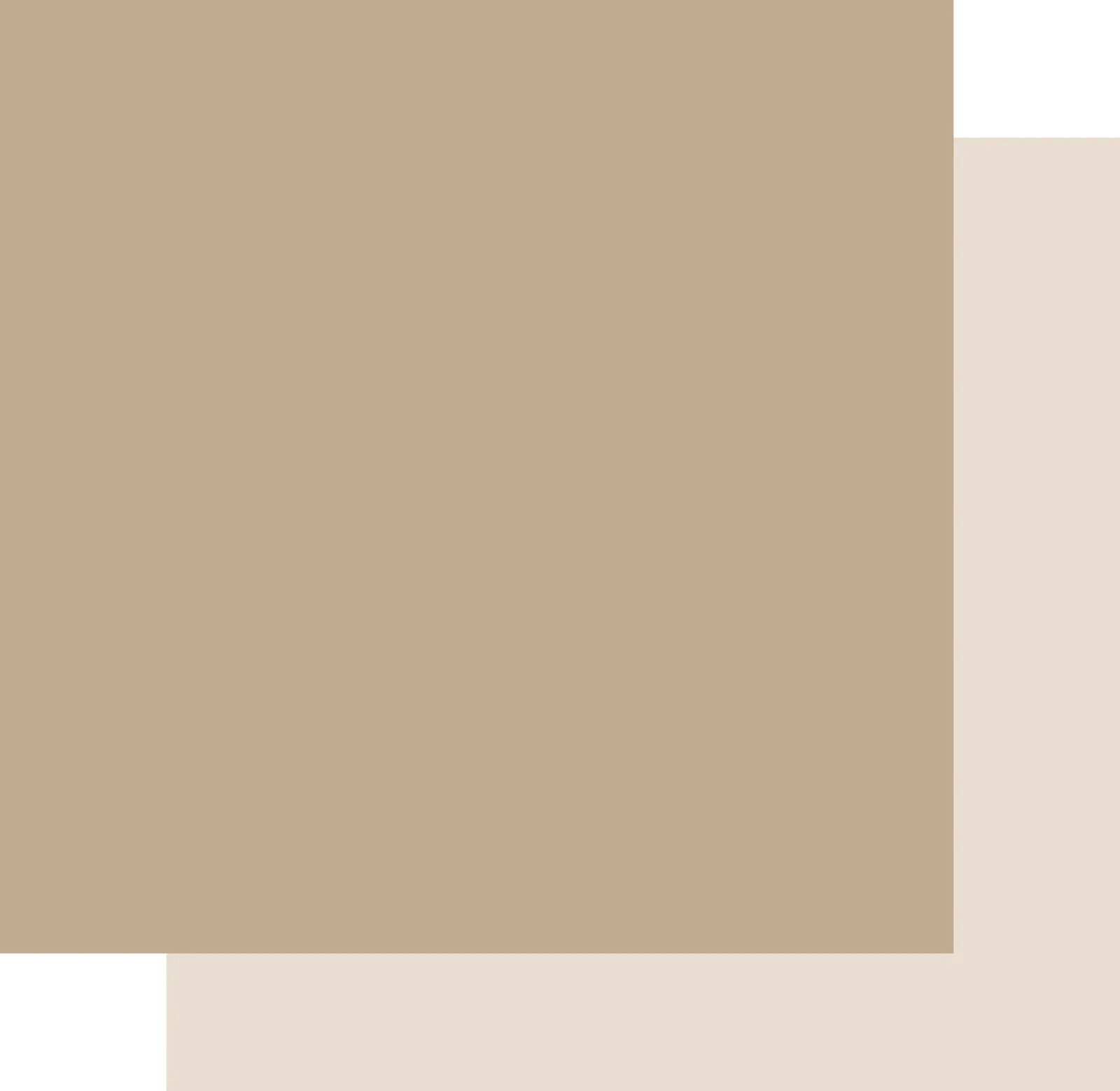 12 X 12 Mocha Cardstock