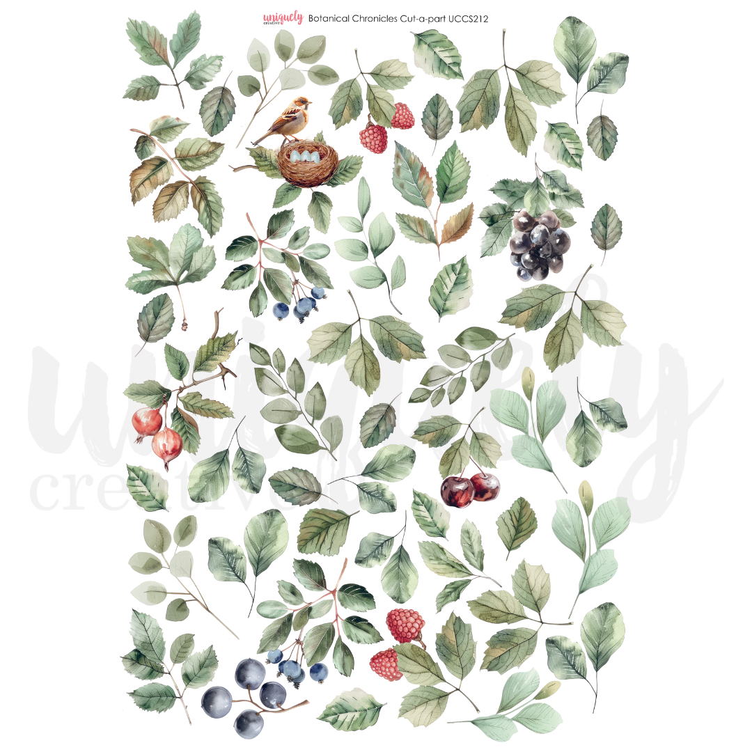 Uniquely Creative Cut-a-Part Sheet Botanical Chronicles