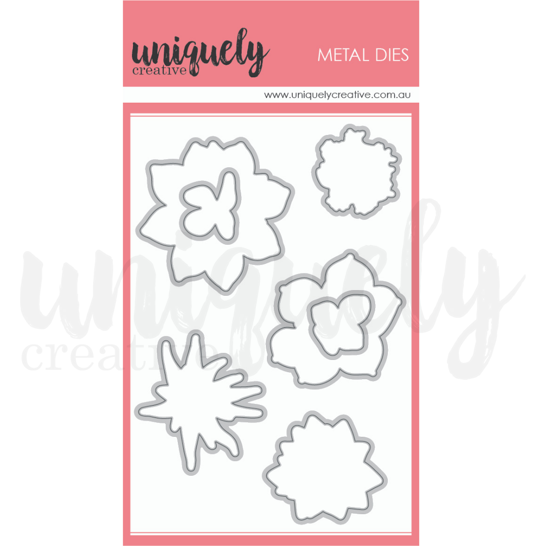 Uniquely Creative Succulents Die