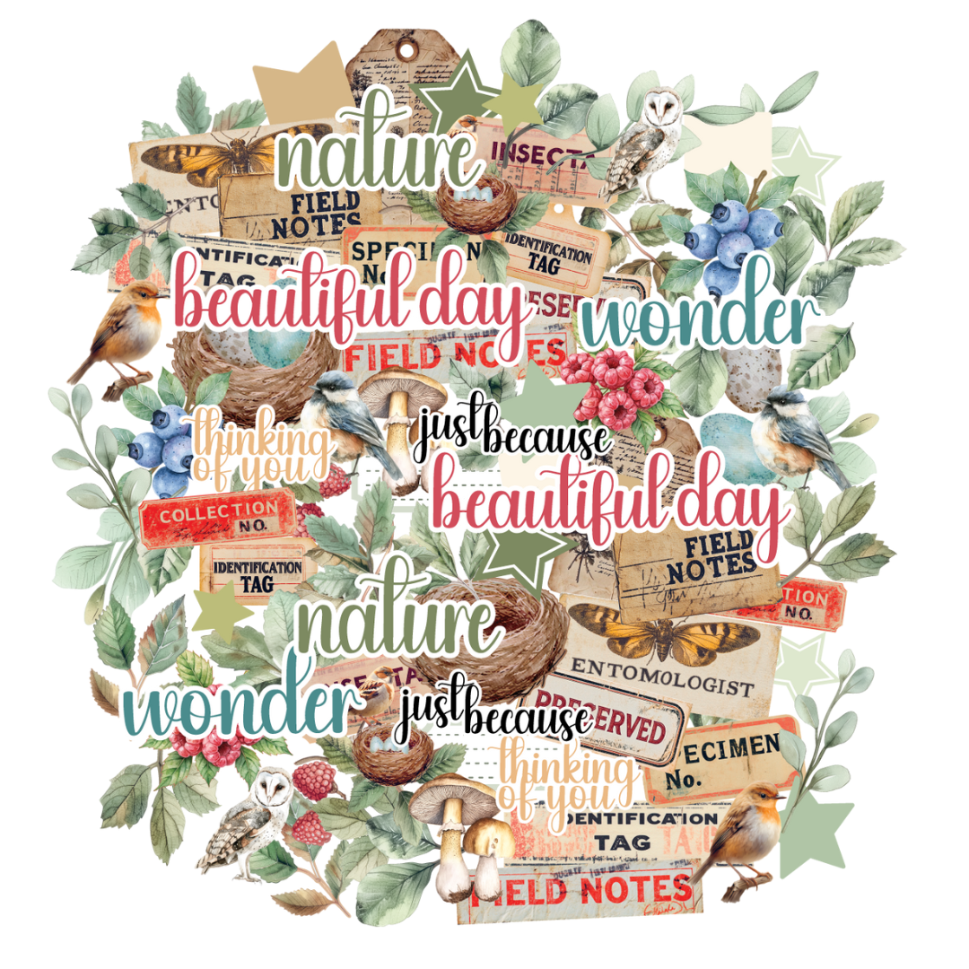 Uniquely Creative Die Cuts Botanical Chronicles Creative Cuts