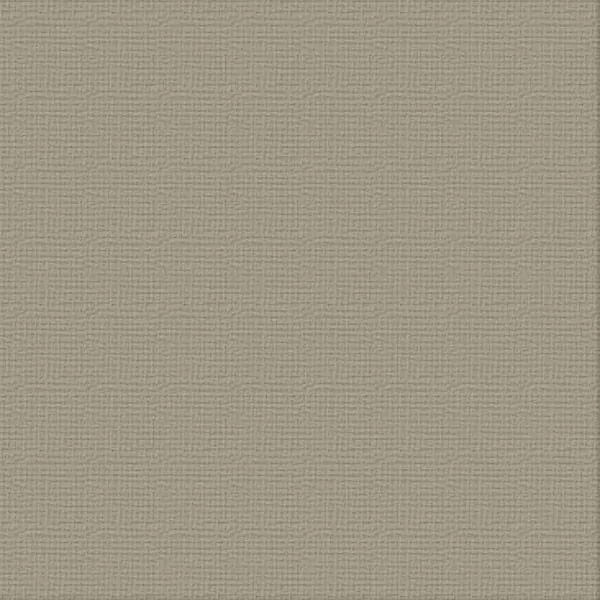 12 X 12 Silver Star Textured Cardstock - Ultimate Crafts