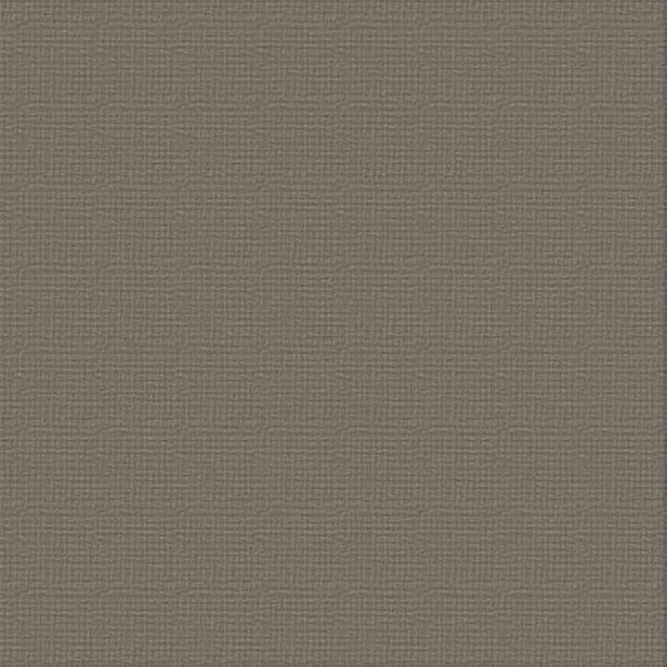 12 X 12 Hippodrome Textured Cardstock - Ultimate Crafts