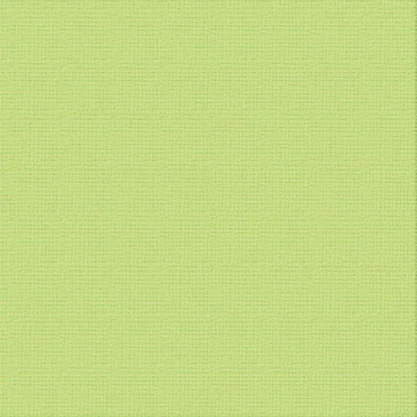 12 X 12 Mantis Textured Cardstock - Ultimate Crafts