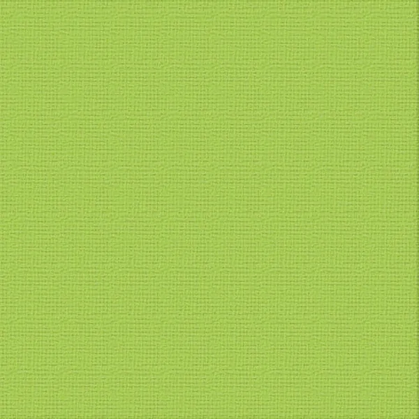 12 X 12 Chrysalis Textured Cardstock - Ultimate Crafts