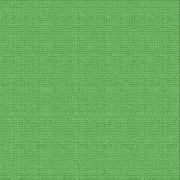 12 X 12 Leprechaun  Textured Cardstock - Ultimate Crafts