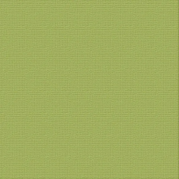 12 X 12 Olive Grove Textured Cardstock - Ultimate Crafts