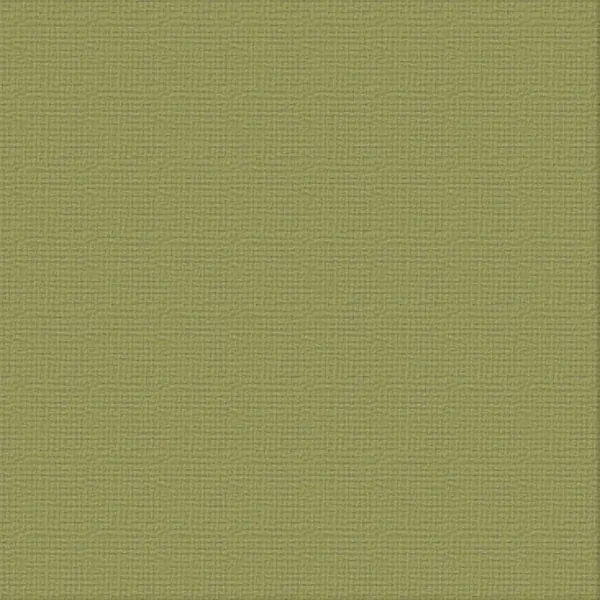 12 X 12 Battle Fatigue Textured Cardstock - Ultimate Crafts