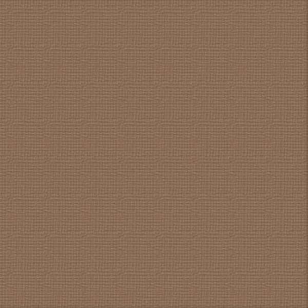 12 X 12 Fencepost Textured Cardstock - Ultimate Crafts