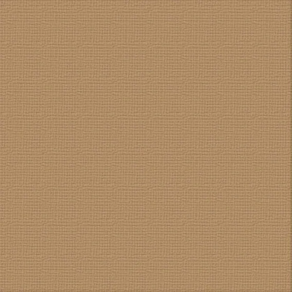 12  X 12 Cinnamon Textured Cardstock - Ultimate Crafts