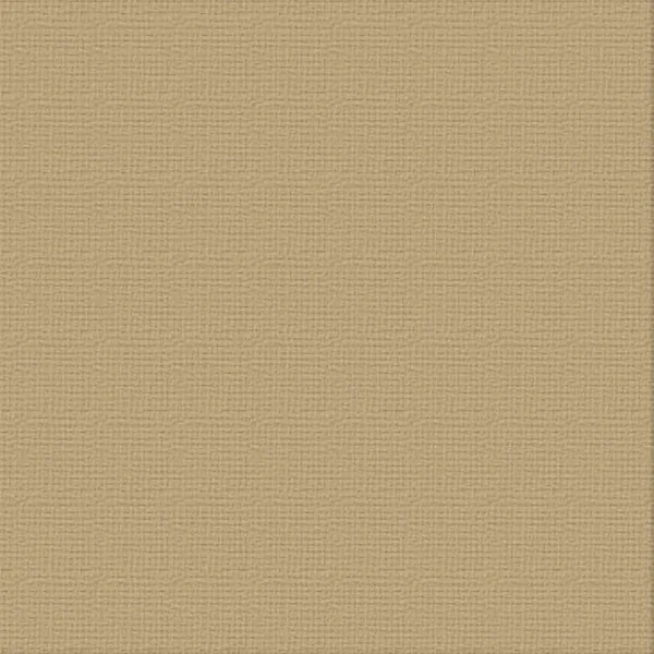 12 X 12 Paper Bag Textured Cardstock - Ultimate Crafts