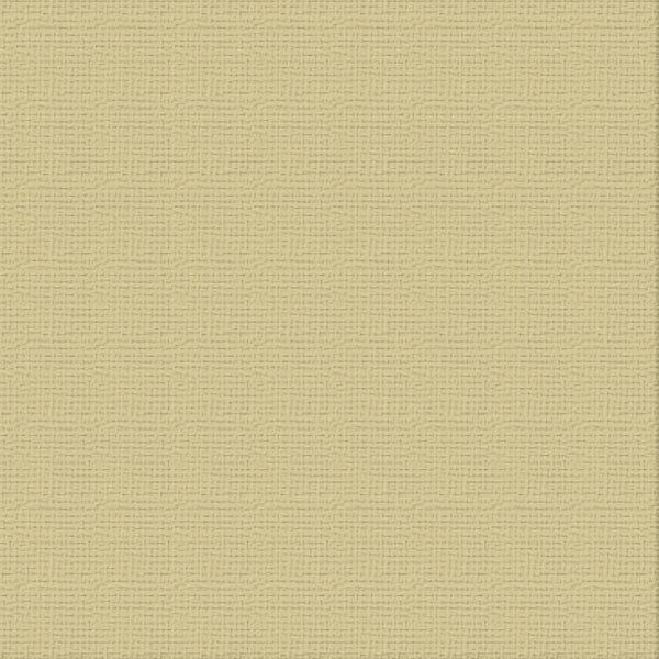 12 X 12 Friftwood Textured Cardstock - Ultimate Crafts