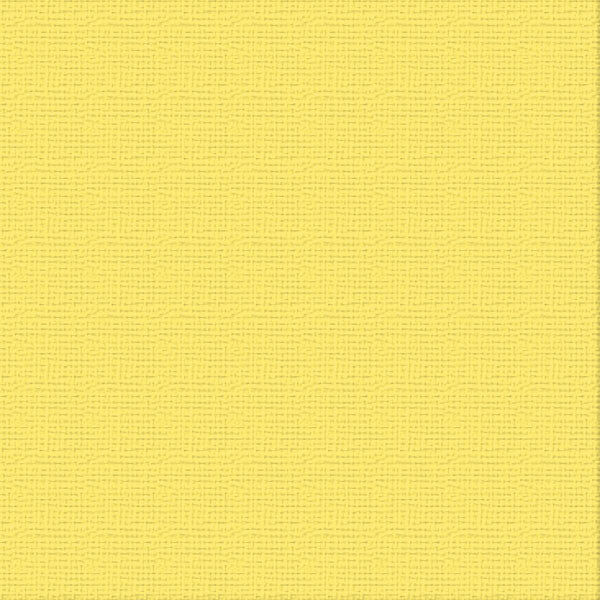 12 X 12 Raincoat Textured Cardstock - Ultimate Crafts