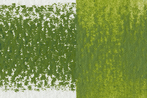 Derwent Inktense Pencil Fern - 1560