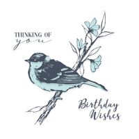 Sizzix Layered Clear Stamps Set 4PK - Summer Bird by Olivia Rose 665907