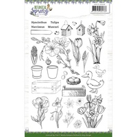 Amy Design Clear Stamps Botanical Spring