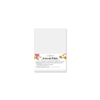 Altenew Watercolour Palette Medium