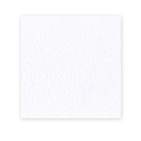 American Crafts 12x12 CARDSTOCK 25 Sheets 216gsm White