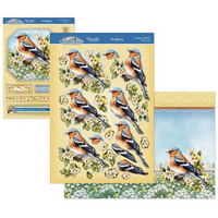 Hunkydory Crafts Beautiful Birds Deco-Large Set - Charming Chaffinch