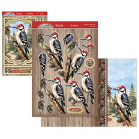 Hunkydory Crafts Beautiful Birds Deco-Large Set - Wonderful Woodpecker