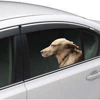 Joy Riders Car Window Cling Dog Golden Retriever