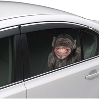 Joy Riders Car Window Cling Chimp