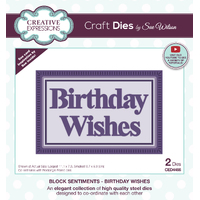 Creative Expressions Sue Wilson Block Sentiments Birthday Wishes Craft Die
