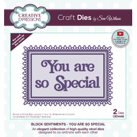 Creative Expressions Sue Wilson Block Sentiments You Are So Special Craft Die