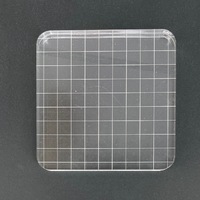 Acrylic Block 10.2cm x 10.2cm (4x4 in) Stamp Block with Grid