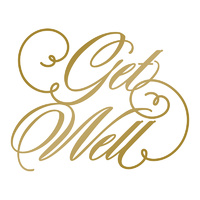 Anna Griffin Hotfoil Stamp Get Well 