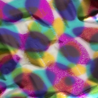 GoPress Rainbow Spots Foil (Coloured Finish)  120mm x 5m