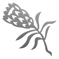 Couture Creations Mini Die Sweeping Plains Bloomin Protea