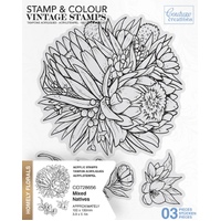 Couture Creations Stamp & Colour Vintage Stamps - Homely Florals - Mixed Natives